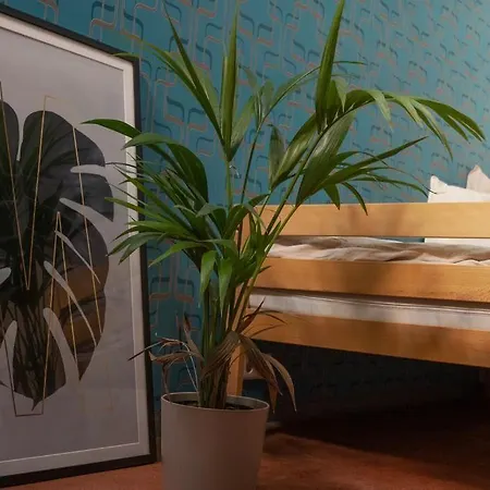 Laola Living * Essen